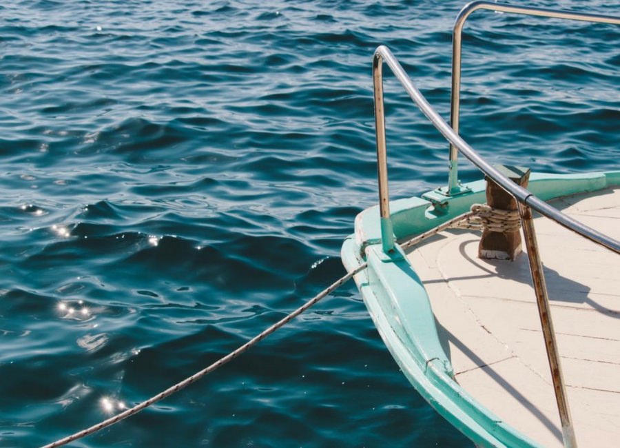 TO LOVE THE SEA